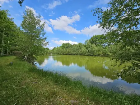 Charmant gîte champêtre avec bain nordique et terrasse privative - Photo 18