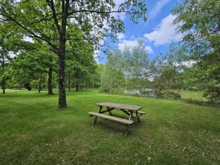 Charmant gîte champêtre avec bain nordique et terrasse privative - Photo 19