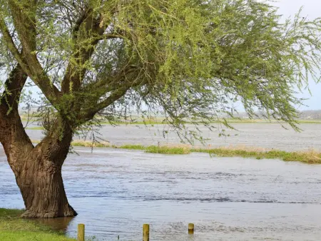 Charmante maison en pierre avec jardin au cœur du Cotentin - Photo 2