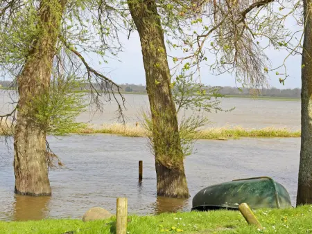 Charmante maison en pierre avec jardin au cœur du Cotentin - Photo 20