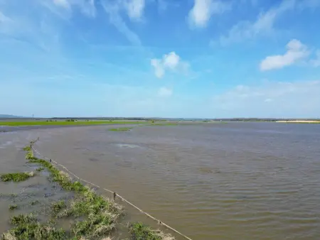 Charmante maison en pierre avec jardin au cœur du Cotentin - Photo 21