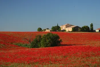 Maison à Valensole,Clos De La Tuilerie, Le Couchant 1212763 N°1000232