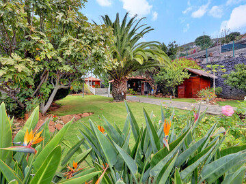 Location Villa à La Laguna,Wooden House with Private Pool Lush Garden ES-324-32 N°1000248