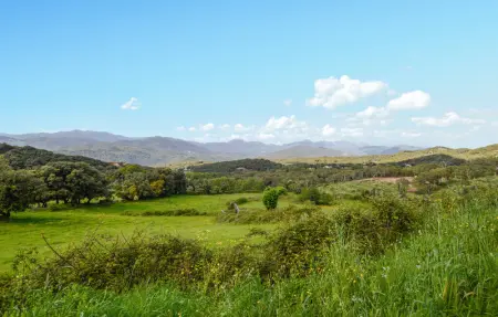 Location Maison 5 personnes à Petreto Bicchisano - Photo 8