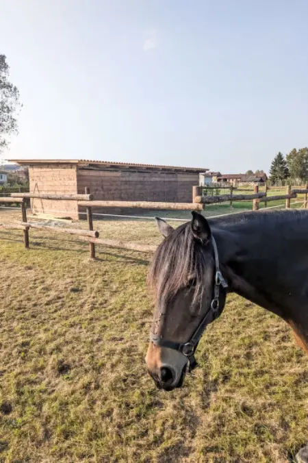 Giada, Appartement 4 personnes à Castell' Alfero - Photo 34