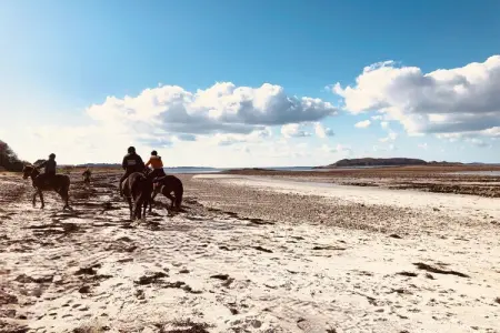 Maison 800 m de la mer, Maison 4 personnes à Kerbors - Photo 17