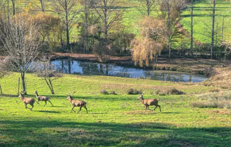 Location Maison 8 personnes à Prayssas - Photo 14