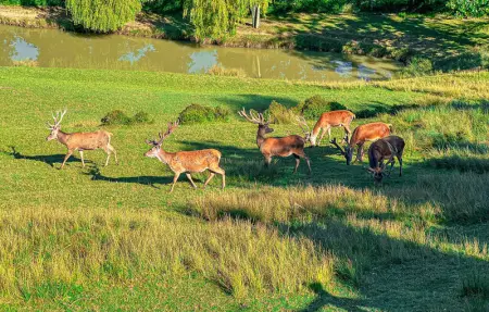 Location Maison 8 personnes à Prayssas - Photo 15