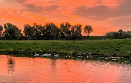 Location Bateau 4 personnes à Ophoven - Photo 14
