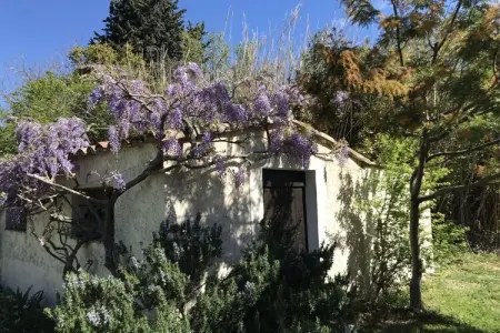 249010, Maison 8 personnes à Sénas - Photo 13