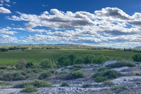 249010, Maison 8 personnes à Sénas - Photo 39