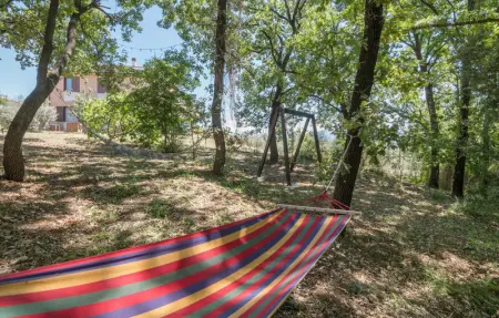 Location Maison 6 personnes à Otricoli - Photo 7