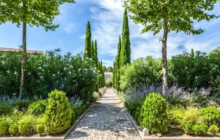 Location Maison 4 personnes à Saint Laurent de la Ca - Photo 19