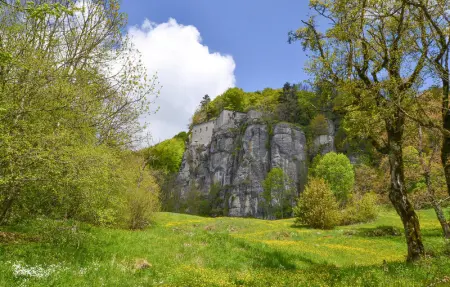 Il Moro-Gemme del Casentino, Maison 6 personnes à Castel Focognano - Photo 7