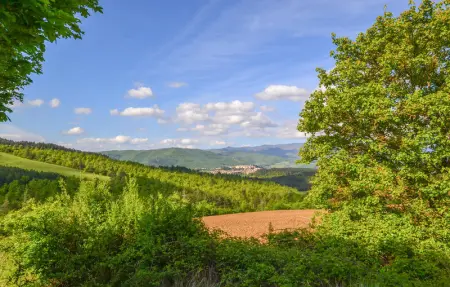 Il Moro-Gemme del Casentino, Maison 6 personnes à Castel Focognano - Photo 37