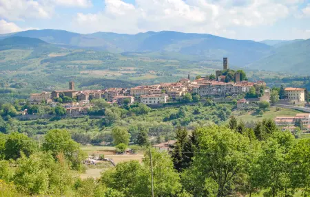 Il Moro-Gemme del Casentino, Maison 6 personnes à Castel Focognano - Photo 38
