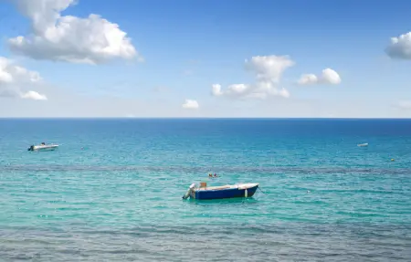 Location Appartement 6 personnes à Scalea - Photo 32