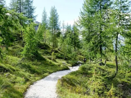 Carli, Appartement 5 personnes à Terme di Comano - Photo 26