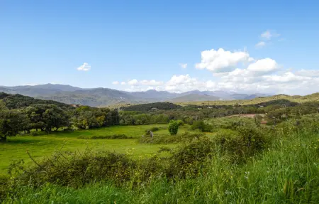 Location Maison 3 personnes à Petreto Bicchisano - Photo 7