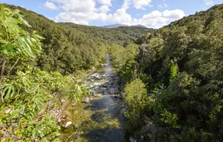 Location Maison 3 personnes à Petreto Bicchisano - Photo 8