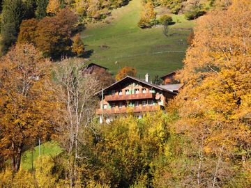 Location Appartement à Grindelwald,Chalet Auf dem Vogelstein CH3818.145.1 N°33379