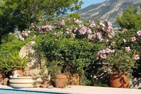 484668, Villa 7 personnes à L'Alfas del Pi - Photo 1