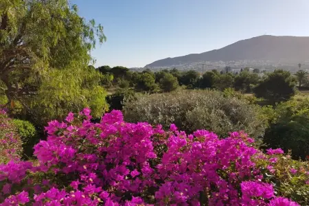 484668, Villa 7 personnes à L'Alfas del Pi - Photo 15