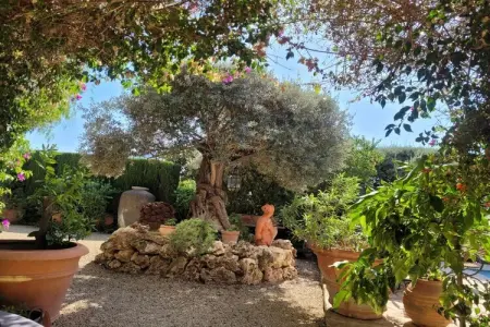 484668, Villa 7 personnes à L'Alfas del Pi - Photo 25