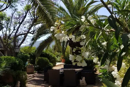 484668, Villa 7 personnes à L'Alfas del Pi - Photo 32