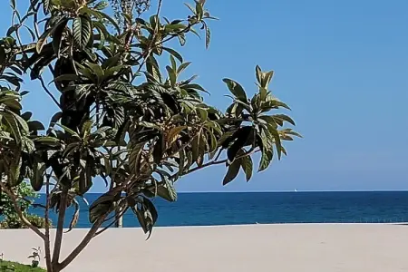 484668, Villa 7 personnes à L'Alfas del Pi - Photo 37