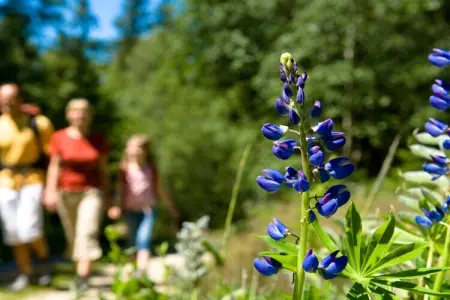 121457, Maison 6 personnes à Partschins - Photo 18