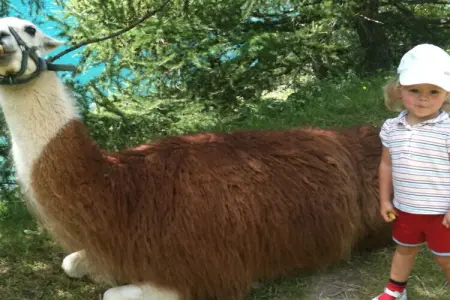 121457, Maison 6 personnes à Partschins - Photo 20