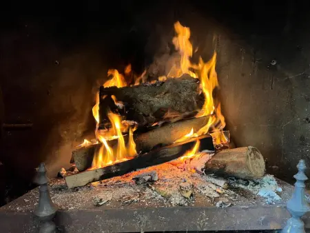 Gîte familial avec jardin et animaux acceptés près d'Utah Beach - Photo 28