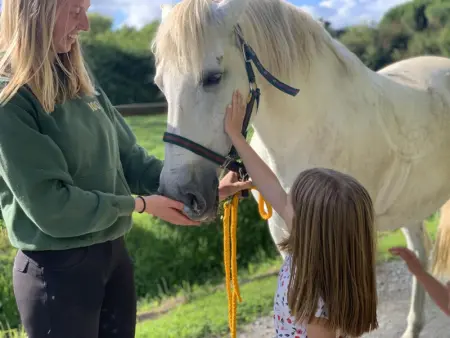 Gîte familial avec jardin et animaux acceptés près d'Utah Beach - Photo 34