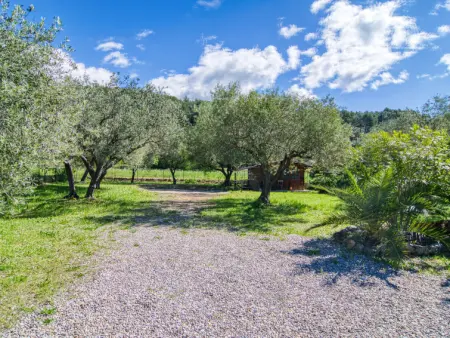 L'Oliveraie, Maison 6 personnes à Callas - Photo 39