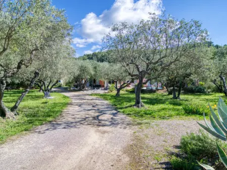 L'Oliveraie, Maison 6 personnes à Callas - Photo 40