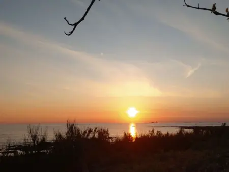 Maison de 5 pièces avec jardin clos et vue sur mer à l'Herbaudière - Photo 29