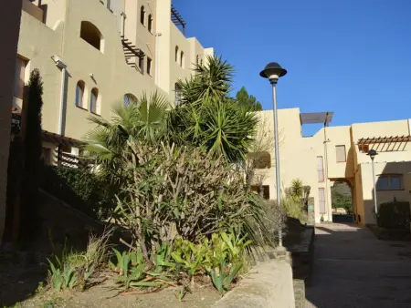 Studio avec terrasse, accès plage, parking. Animaux acceptés - Photo 11