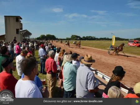 Maison de campagne confortable à Utah Beach, Gite 5 personnes à Sainte Marie du Mont - Photo 33