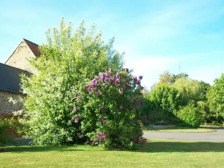 Maison confortable, 2 chambres, jardin privé, Wi-Fi, barbecue, proche Mont-Saint-Michel - Photo 14