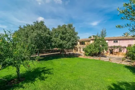 Son ArboÇ Gran, Villa 10 personnes à Algaida, Illes Balears - Photo 3