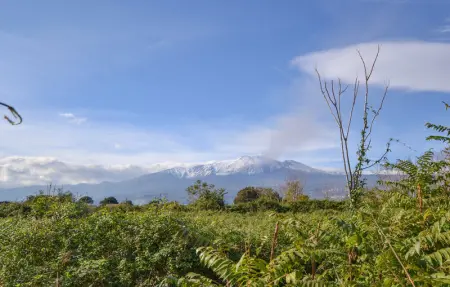 Location Appartement 5 personnes à Giarre - Photo 12
