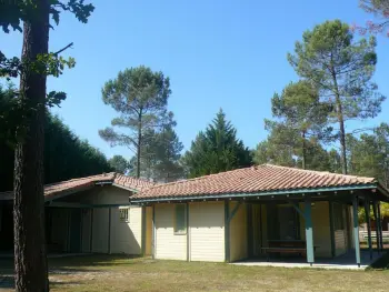 Gite à Brocas,Gîte familial en forêt avec activités, terrasse, et Wifi – Les Landes de Gascogne FR-1-360-285 N°1003611