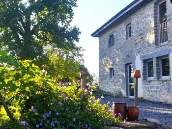 Casa rural en Lys,Maison de caractère en Vallée d'Ossau avec Jardin, WiFi, TV, Cheminée et Ping-Pong, idéale Famille FR-1-384-595 N°1003660