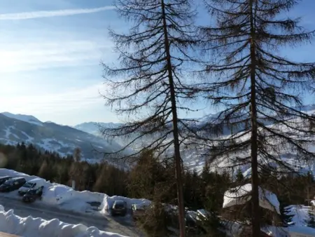 Appartement 2 pièces, 5 pers, balcon, proche télécabine, animaux acceptés - Photo 4