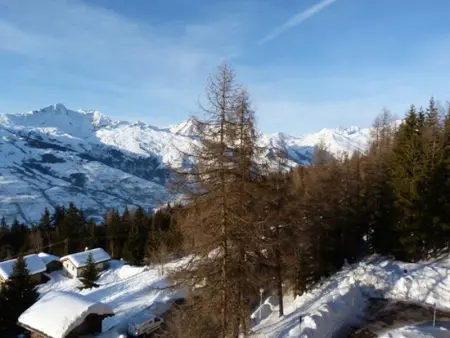 Appartement 2 pièces, 5 pers, balcon, proche télécabine, animaux acceptés - Photo 5