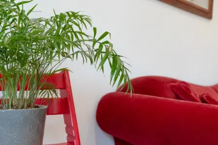 AxarquÍa, Maison 6 personnes à , Málaga - Photo 33