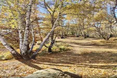 Lavinia's Apartment 6, Maison 6 personnes à Meina - Photo 22