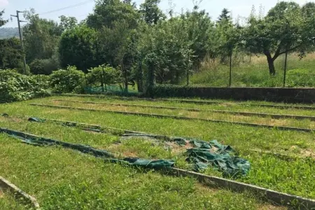 Lavinia's Apartment 6, Maison 6 personnes à Meina - Photo 38