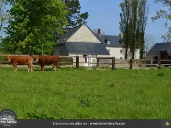 Gite à Sainte Marie du Mont,Maison mitoyenne avec jardin privé, près de Utah Beach, 1 chambre, animaux acceptés, équipements inclus. FR-1-362-698 N°1004040